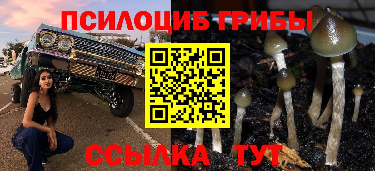 Псилоцибиновые грибы мухоморы  Вход с VPN  Галлюциногенные грибы мухоморы  Реж 