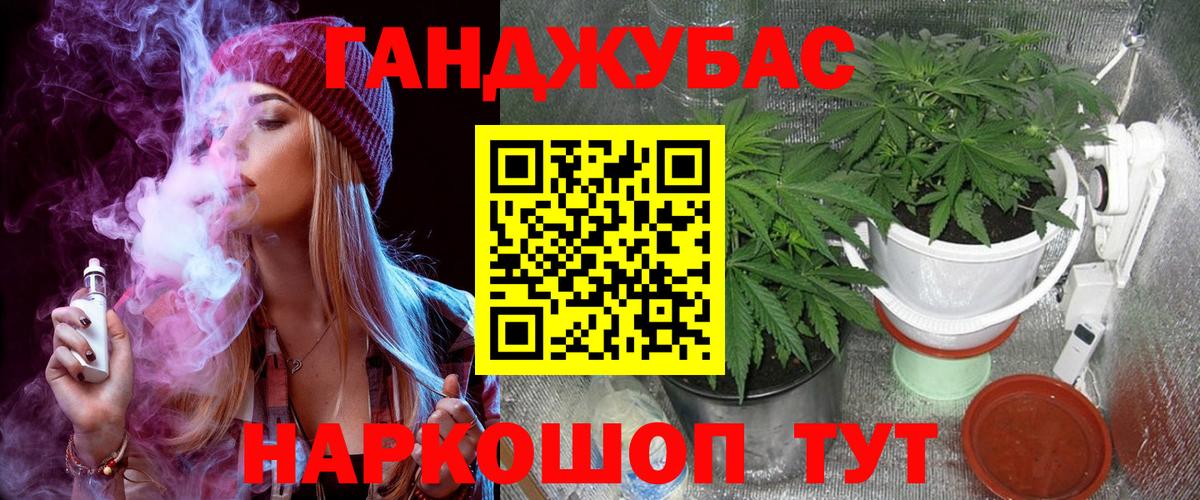 Шишки марихуана гибрид  Марихуана план  Реж  Вход с VPN 